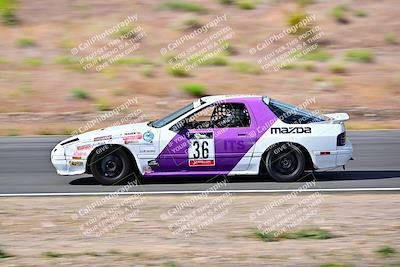 media/May-05-2024-Lucky Dog Racing (Sun) [[8a365fce5b]]/915am-Turn 4b/